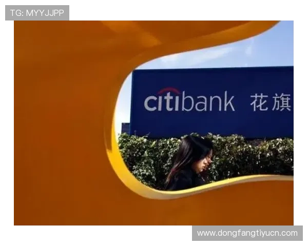 花旗国际银行如何应对全球经济变化带来的挑战与机遇