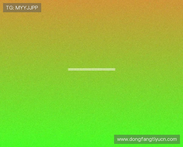 深圳多米娱乐有限公司在世界杯主题报道中的内容质量与用户体验评估